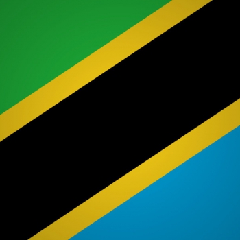 Tanzania thinks of attracting large-scale events